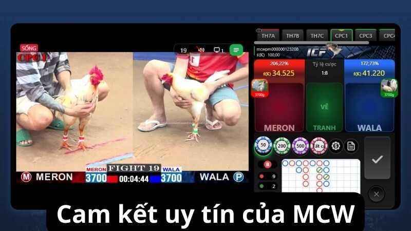 Cam kết uy tín của MCW