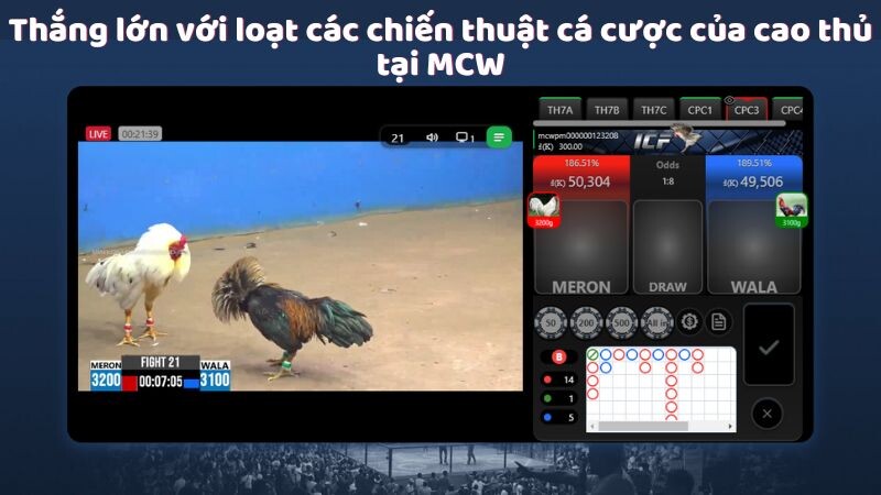 Thắng lớn với loạt các chiến thuật cá cược của cao thủ tại MCW