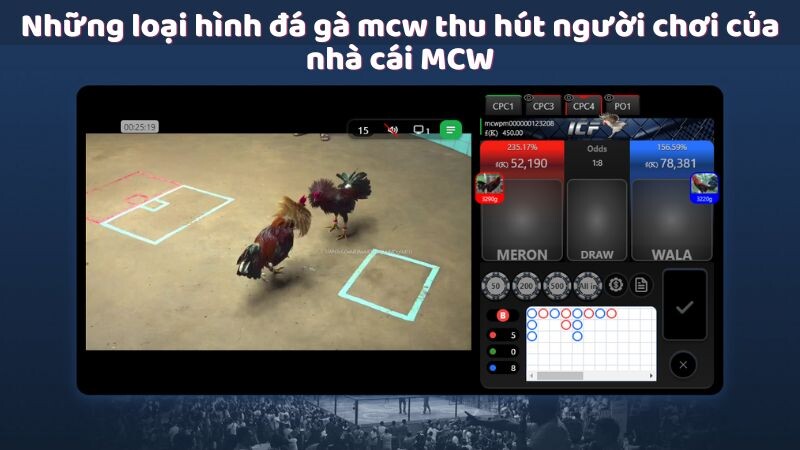 Những loại hình đá gà mcw thu hút người chơi của nhà cái MCW